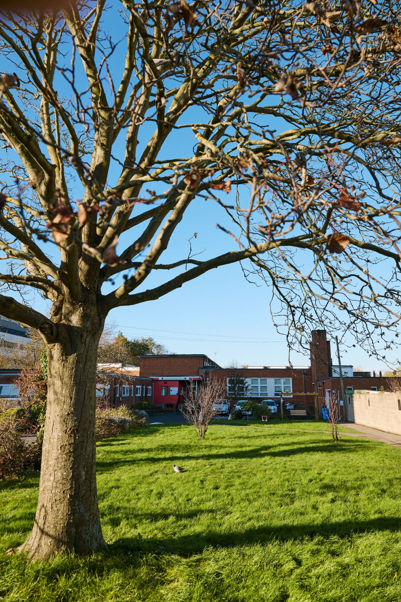 School photograph