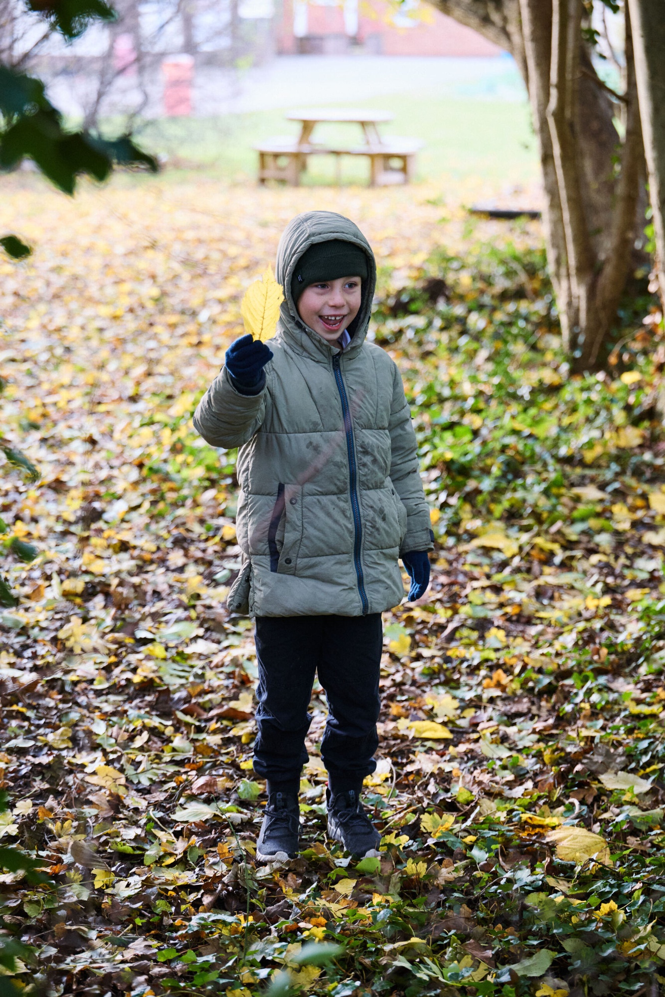 Boy standing in woodland